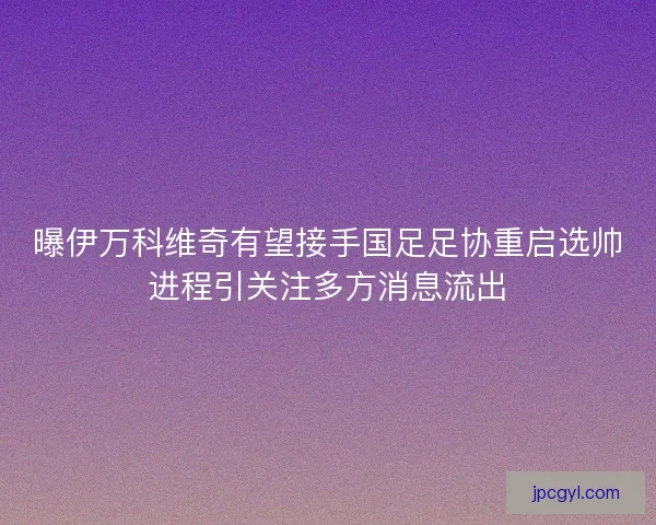 曝伊万科维奇有望接手国足足协重启选帅进程引关注多方消息流出